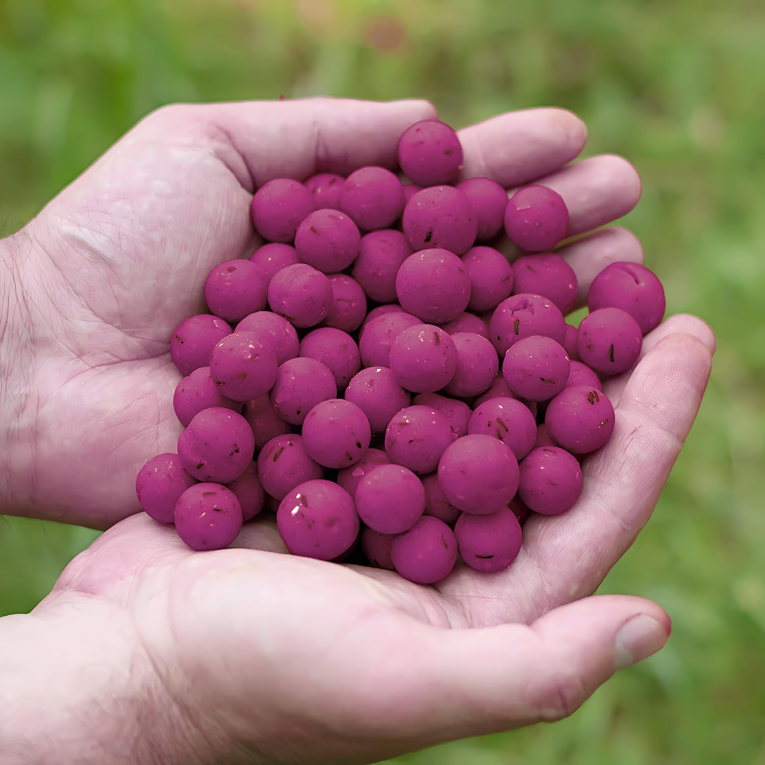 Tasty Baits Boilie 20mm - Cebo Carpas - Irresistible para Las Carpas - Adecuado para Cualquier Agua - Ideal para sesiones largas y Cortas
