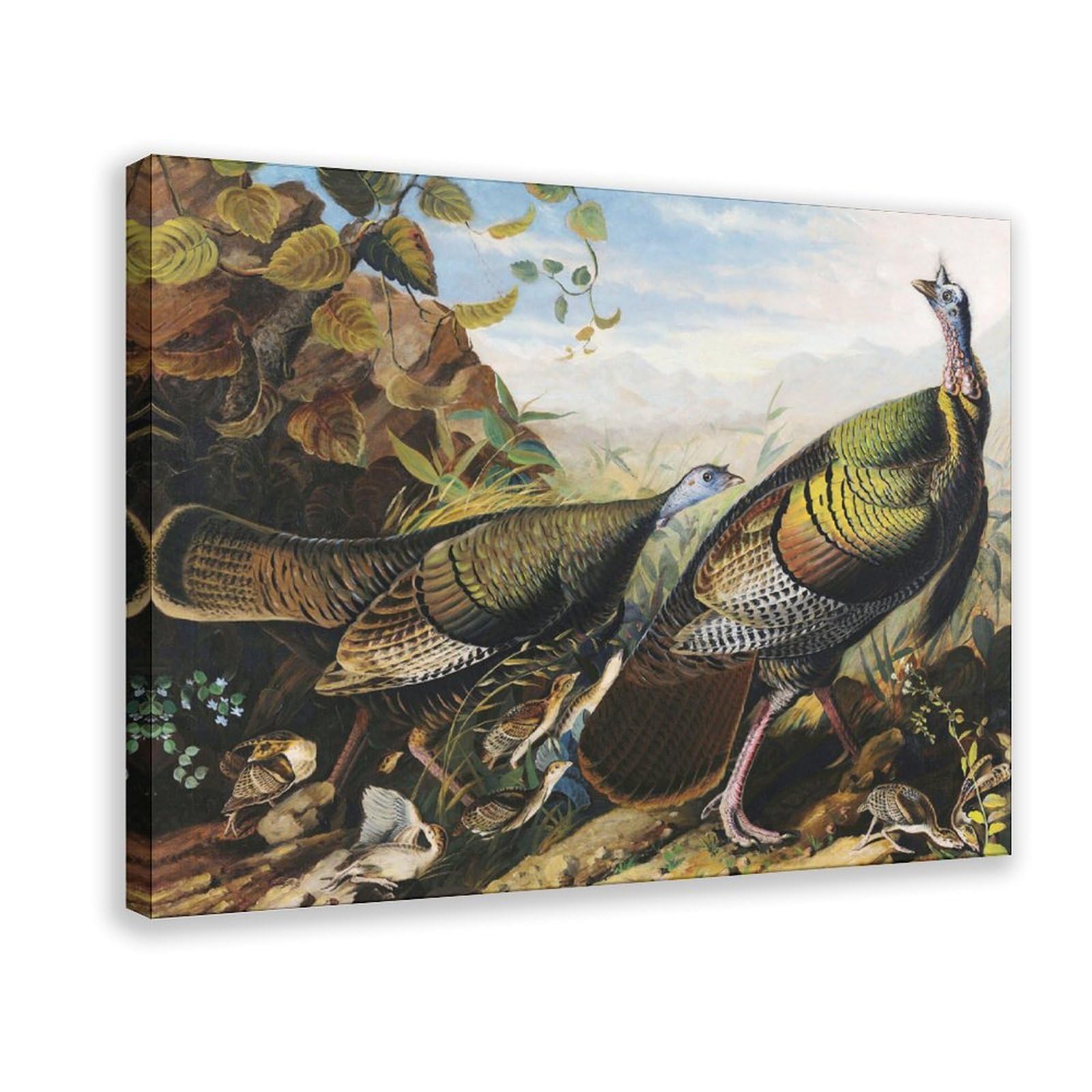DFJyjFGJJ John Jamse Audubon,Wild Turkey Cock, Hen And Young Poster Print for Teen Boys Room Wall Art Canvas Painting 12" L X 18" W