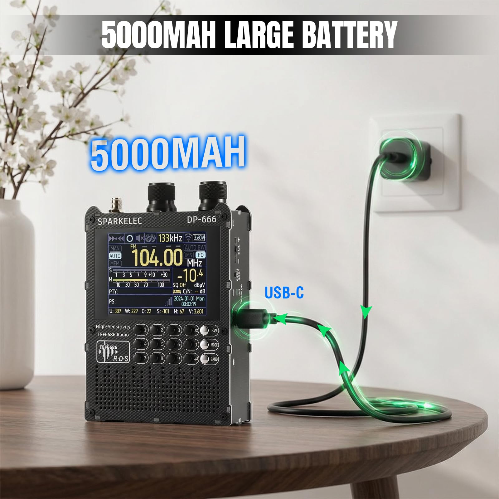 Raddy DP-666 Radio DSP Banda Completa Chip TEF6686, Receptor Profesional Am/FM/LW/MW/SW RDS, Pantalla Táctil 2,8" con Stylus, Batería 5000mAh, Antena Telescópica y Donut, Portátil Actualizable