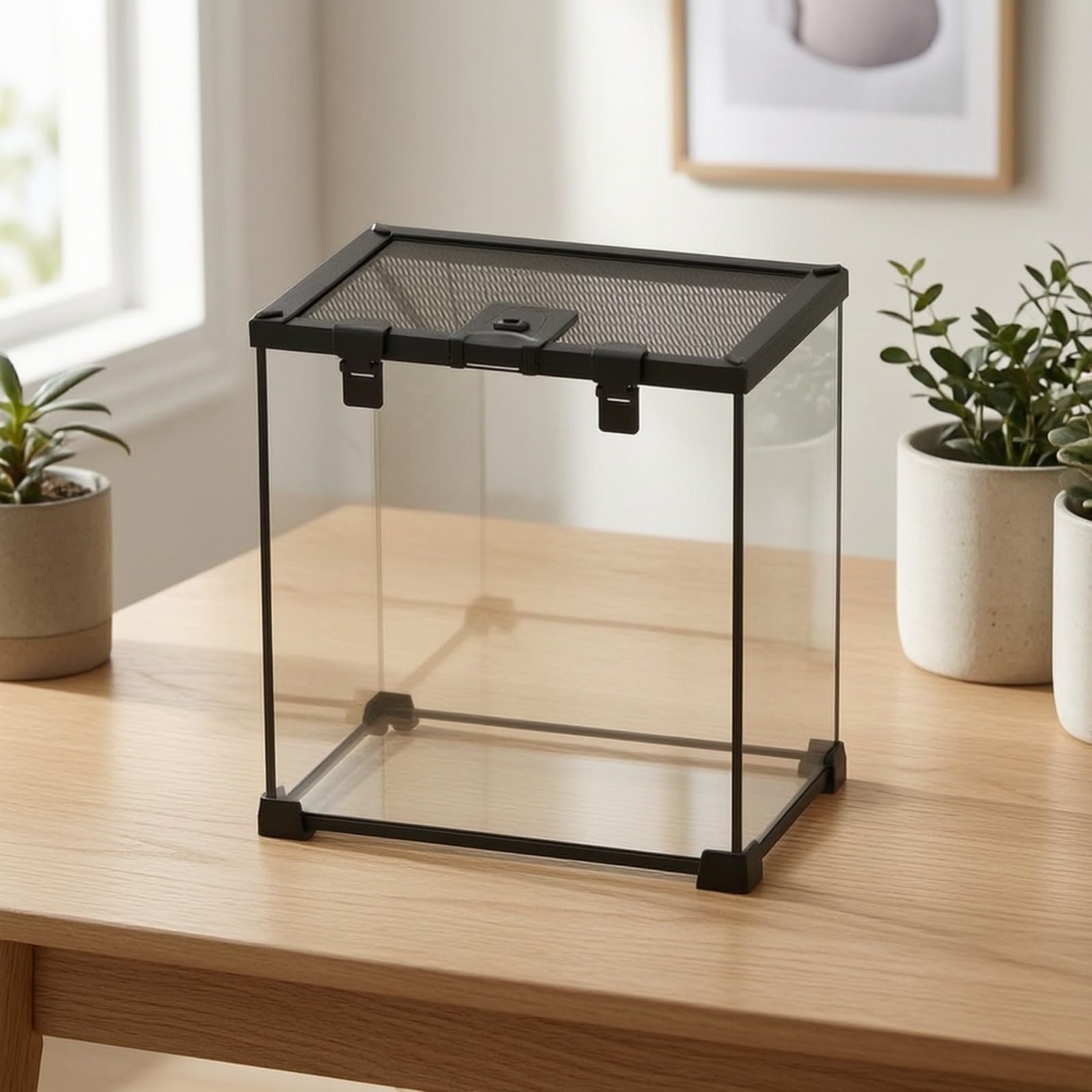 Terrario con Coperchio Ventilato in Rete Resistente Adattabile per Casa, 30x20x20 Cm