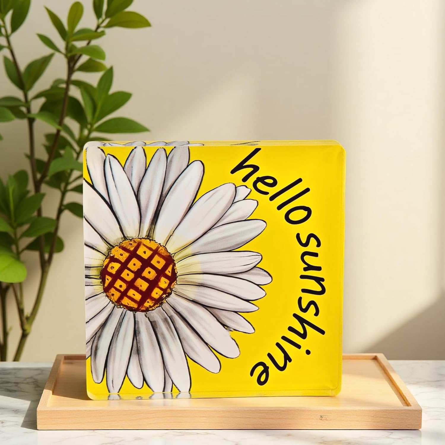 Summer Decor Summer Decorations for Home Hello Sunshine Daisy Acrylic Sign Rustic Shelf Desk Decor Season House Warming Gifts 4.5 x 4.5 Inch