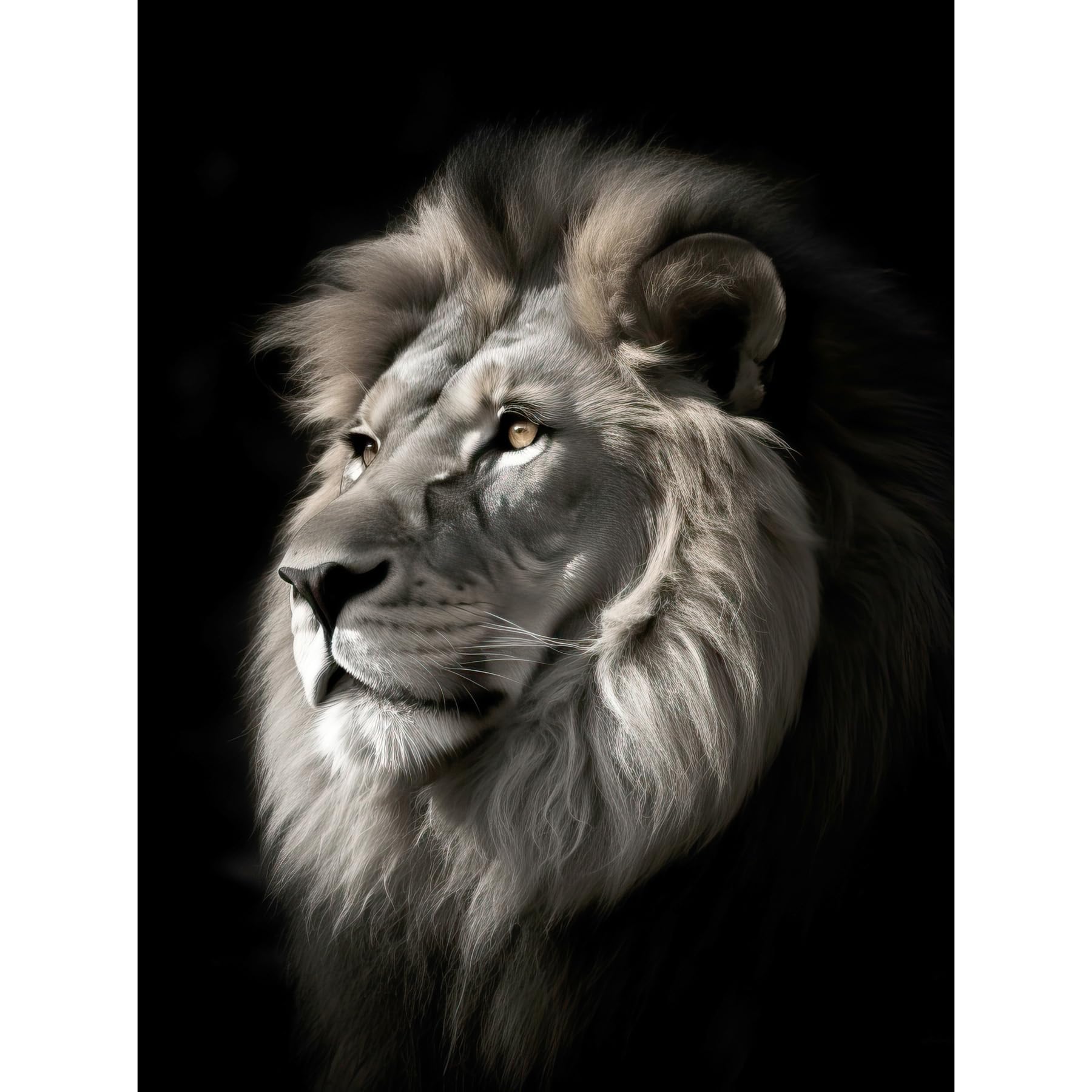 Amazon.com: Artery8 Lion Head Portrait Dramatic Photograph Strong