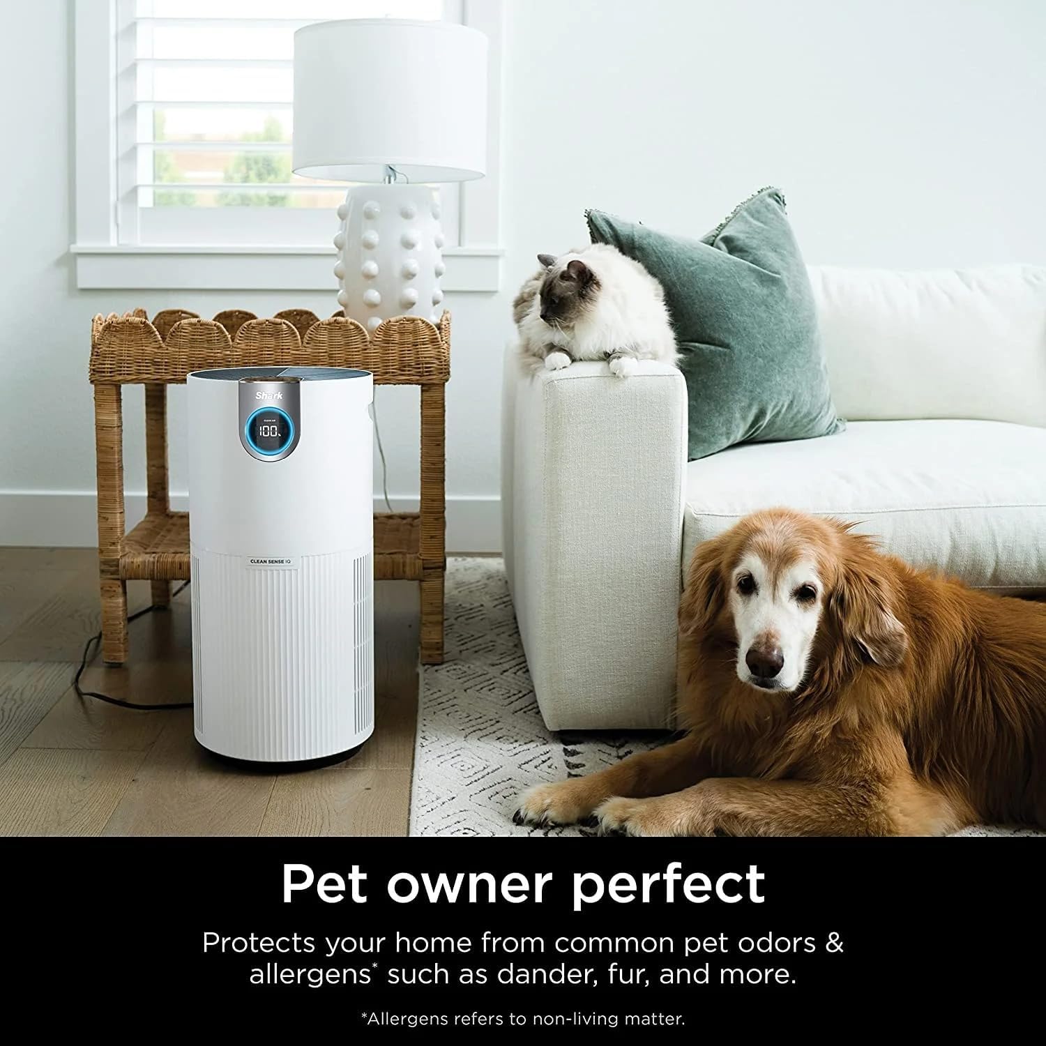 Shark Air Purifier for Home Large Room, Clean Sense Technology, HEPA Air Filter, 1000 Sq Ft, Removes 99.98% of Dust & Allergens, HP201 (Renewed)