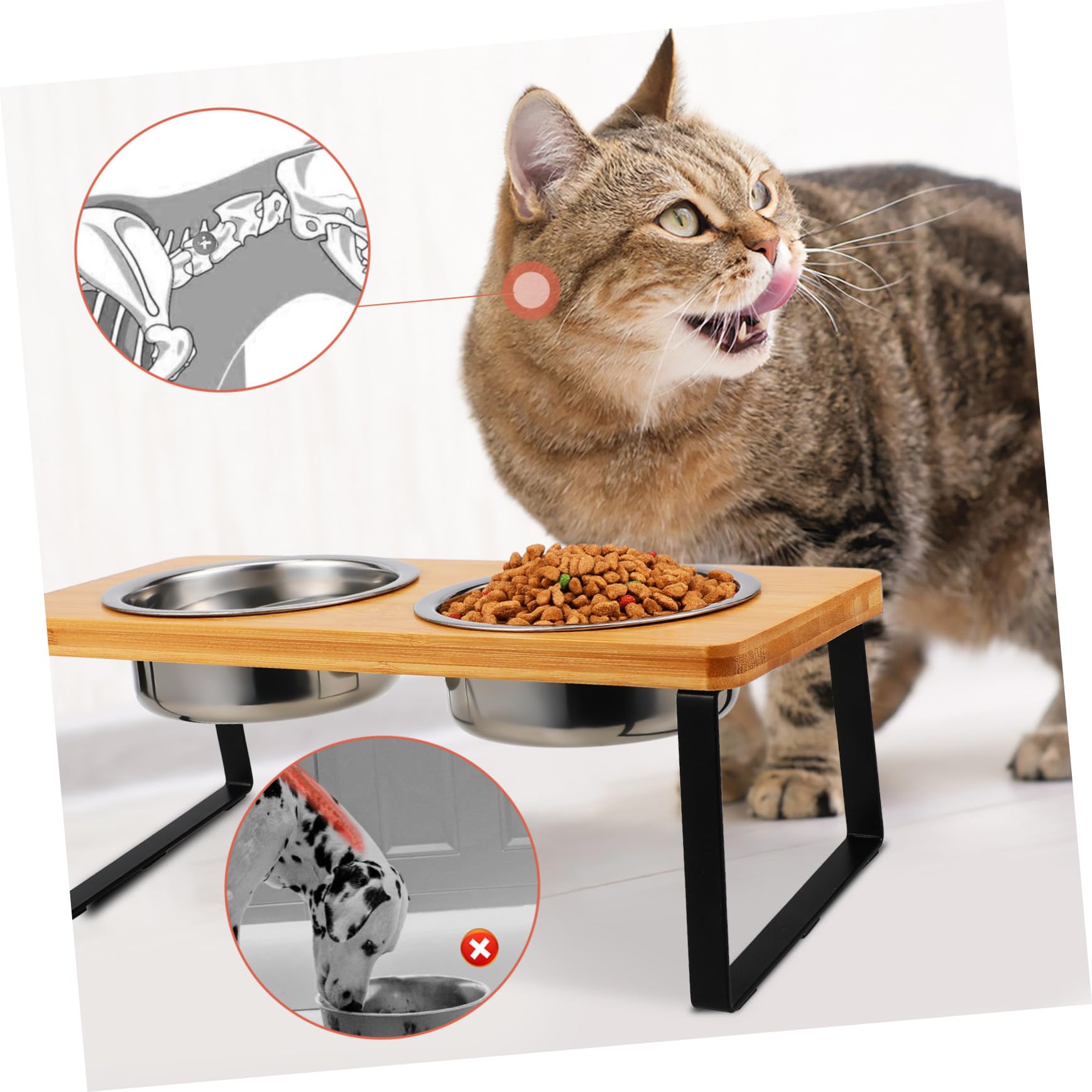 Gatuida Comedero Gato Elevado Doble con Soporte Antideslizante Cuencos de Acero Inoxidable para Comida y Agua Diseño Moderno Minimalista para Gatos de Interior