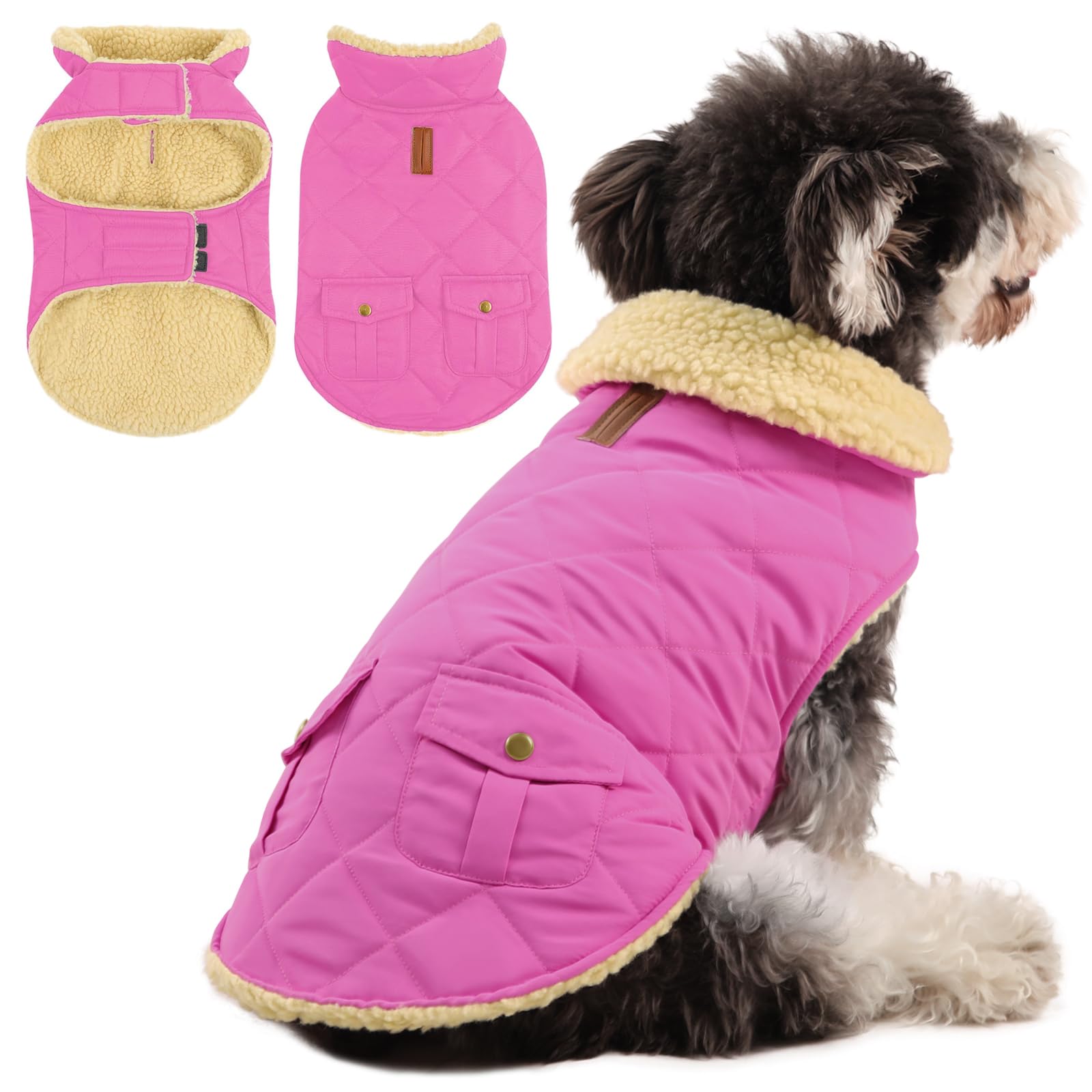 Queenmore Cappotto Cane Medio Caldo Impermeabile Per Bassotto, Bulldog Francese, Pitbull, Beagle, Rosa, M