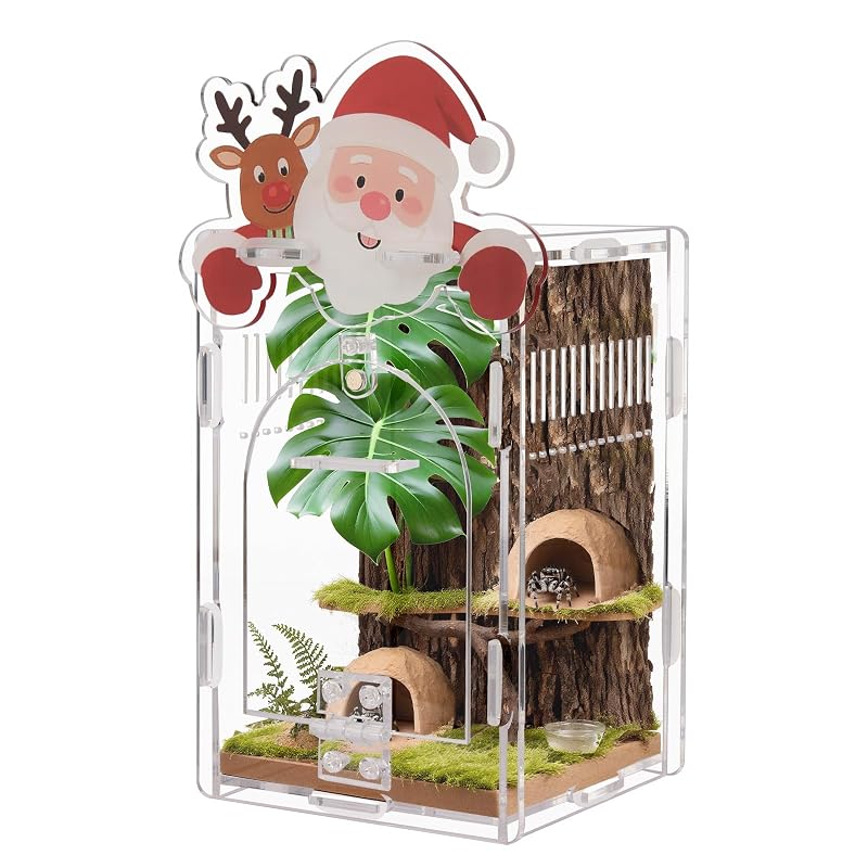 Terrário de Acrílico com Portas Magnéticas para Aranha-Saltadora Santa Claus WEIKEJINA, 10,16 x 10,13 x 16 cm