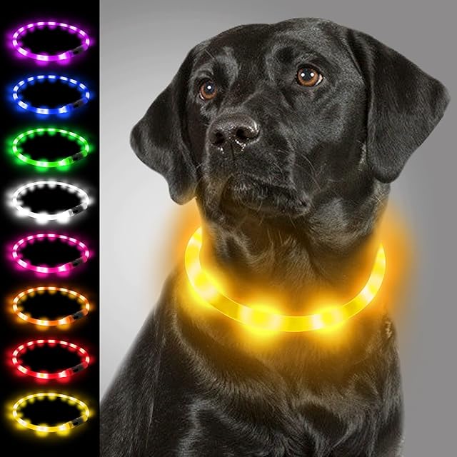 Joytale Light Up Dog Collar,LED Flashing Dog Collar for Night Walking, Illuminated USB Rechargeable Glow Collars for Puppy Small Medium and Large Dogs,Yellow