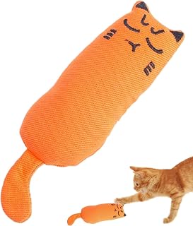 Cat Nip Toys, Catnip Toys för inomhus BITE-resistent oralt | Interaktiva sparkar tänder rengöringsleksak för övning inomhus för alla raser