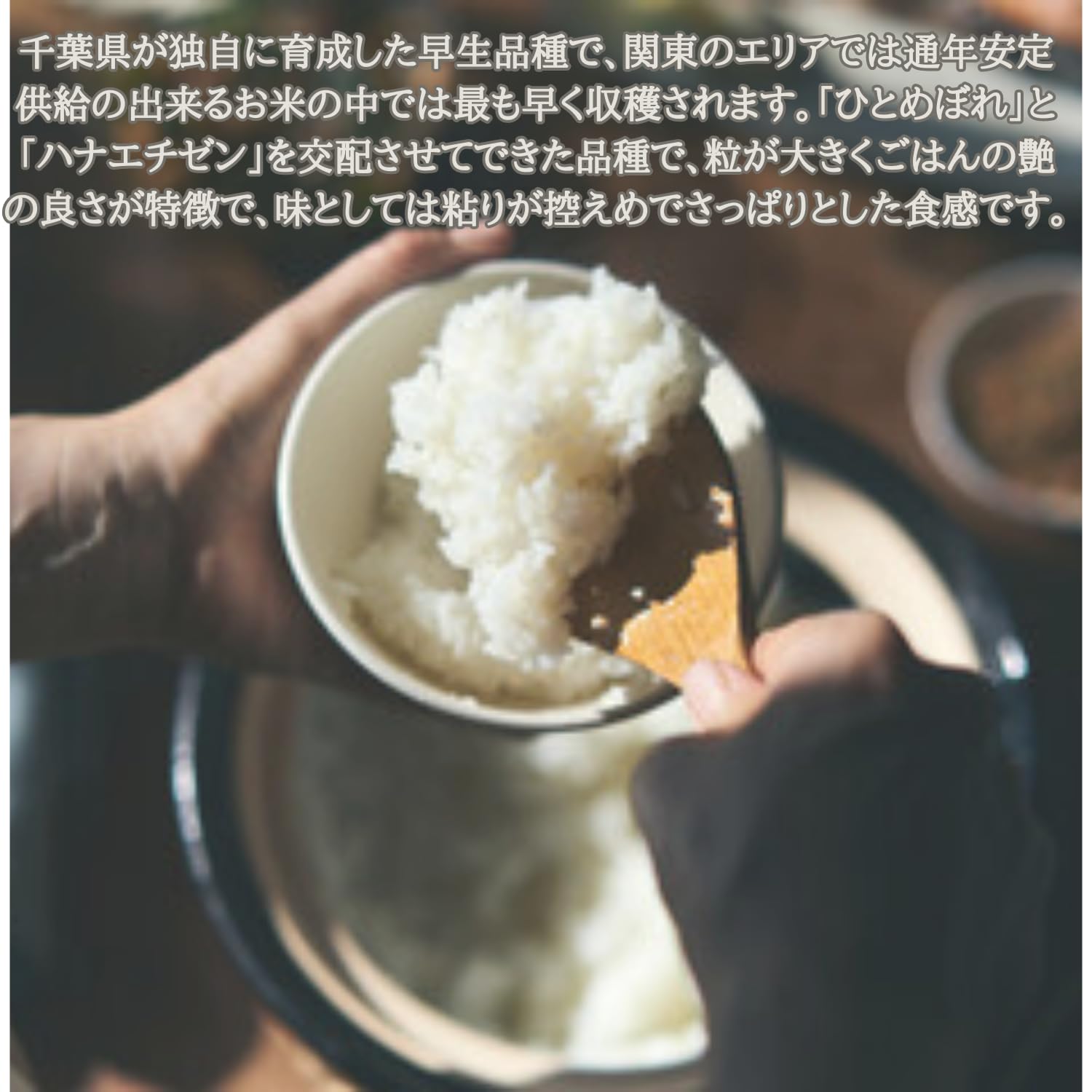 Amazon.co.jp: 【新米】千葉県産 ふさおとめ 5kg 10kg 15kg 20kg 25kg