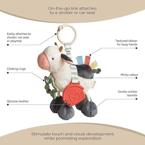 Miniatura 5 de Itzy Ritzy Link & Love - Juguete para cochecito o asiento de automóvil cuenta con cintas texturizadas, sonidos arrugados, anillos de rechazo y