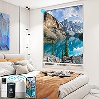 Vista 19 de TIPIACE Persianas de impresión motorizada recargables con control remoto, persiana enrollable de tela opaca completa compatible con Alexa Google