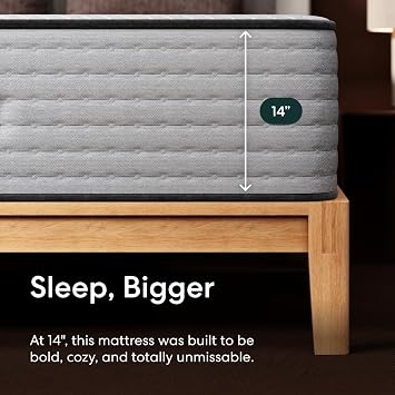 Siena 14 Signature Hybrid Twin Mattress & Bonus Pillow Medium Firm - Memory Foam & Innerspring System 180-Night Trial Pressure-Relief Mattress in a Box