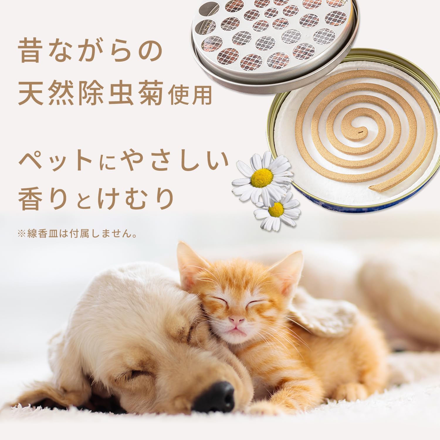 Amazon.co.jp: 菊精渦巻 天然除虫菊かとり線香 動物ペット用 大型