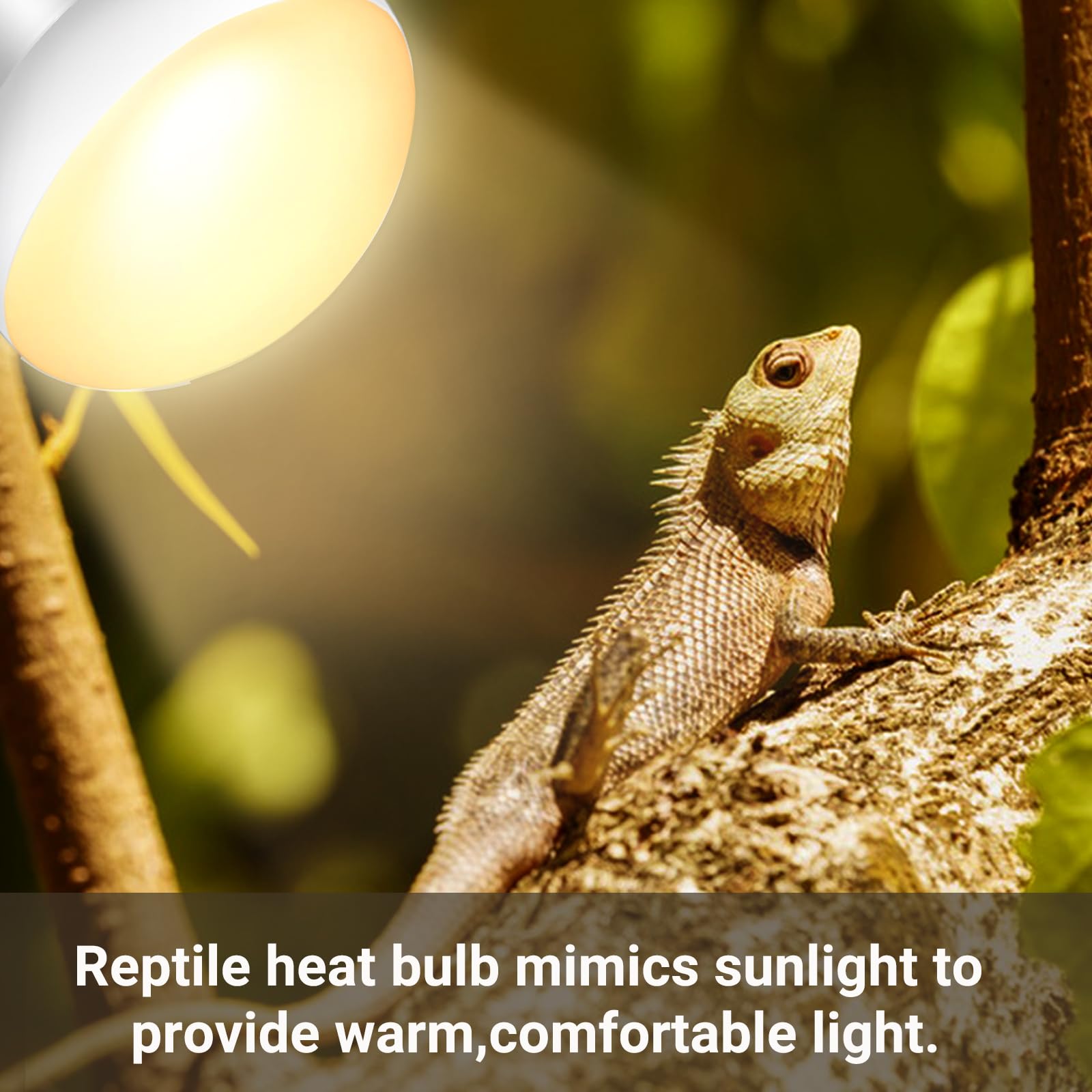 BNOSDM 5.5 Inch Deep Dome Reptile Lamp Fixture With Switch - Reflective Cover For Heat Bulbs, UVB Lamps, Ceramic Emitters - View #2