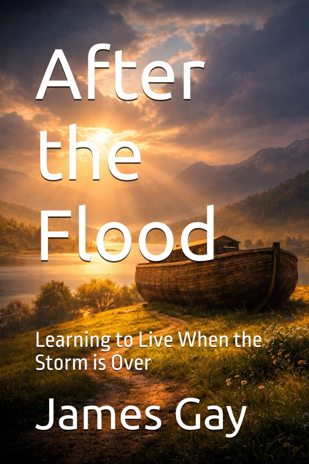 After the Flood: Learning to Live When the Storm is Over