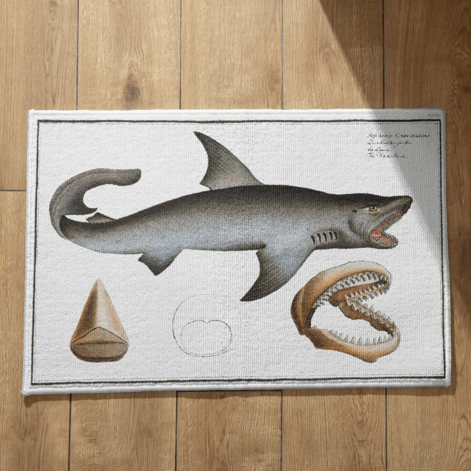 Paillasson d'entrée intérieur original tapis de sol extérieur personnalisé poisson 50x80