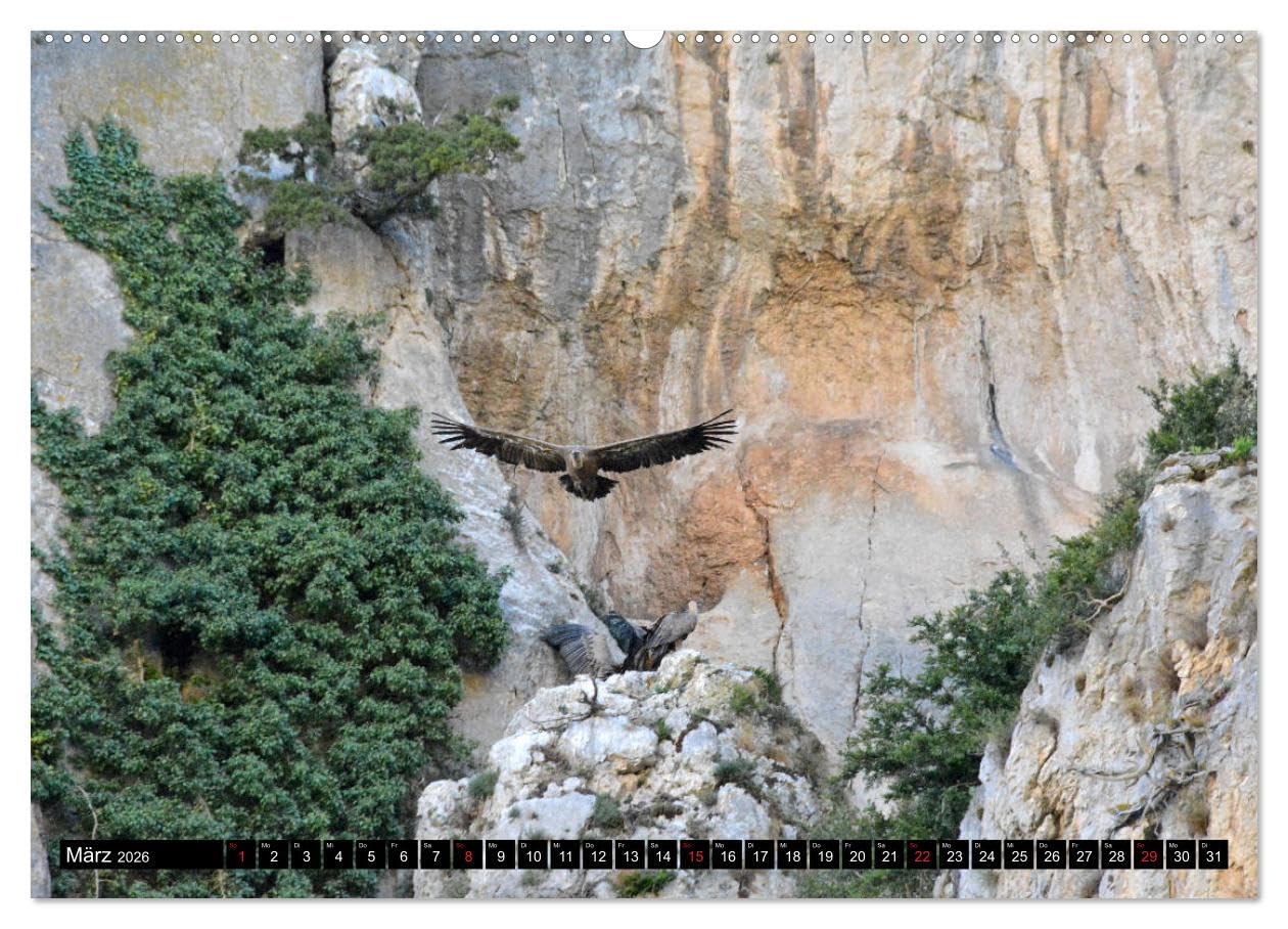 Spaniens wilder Norden (hochwertiger Premium Wandkalender 2026 DIN A2 quer), Kunstdruck in Hochglanz: Von den Pyrenäen zum Baskenland, Kantabrien und Asturien (CALVENDO Orte)