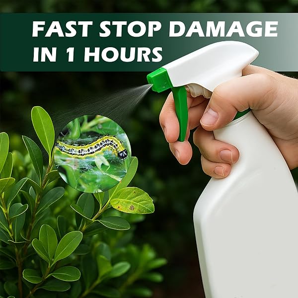 Box Tree Caterpillar Treatment –10 x 5g Packs, 300㎡ Total Coverage – Individually Wrapped,Safe for Bees & Birds, Supports Healthy Buxus Hedges - 4