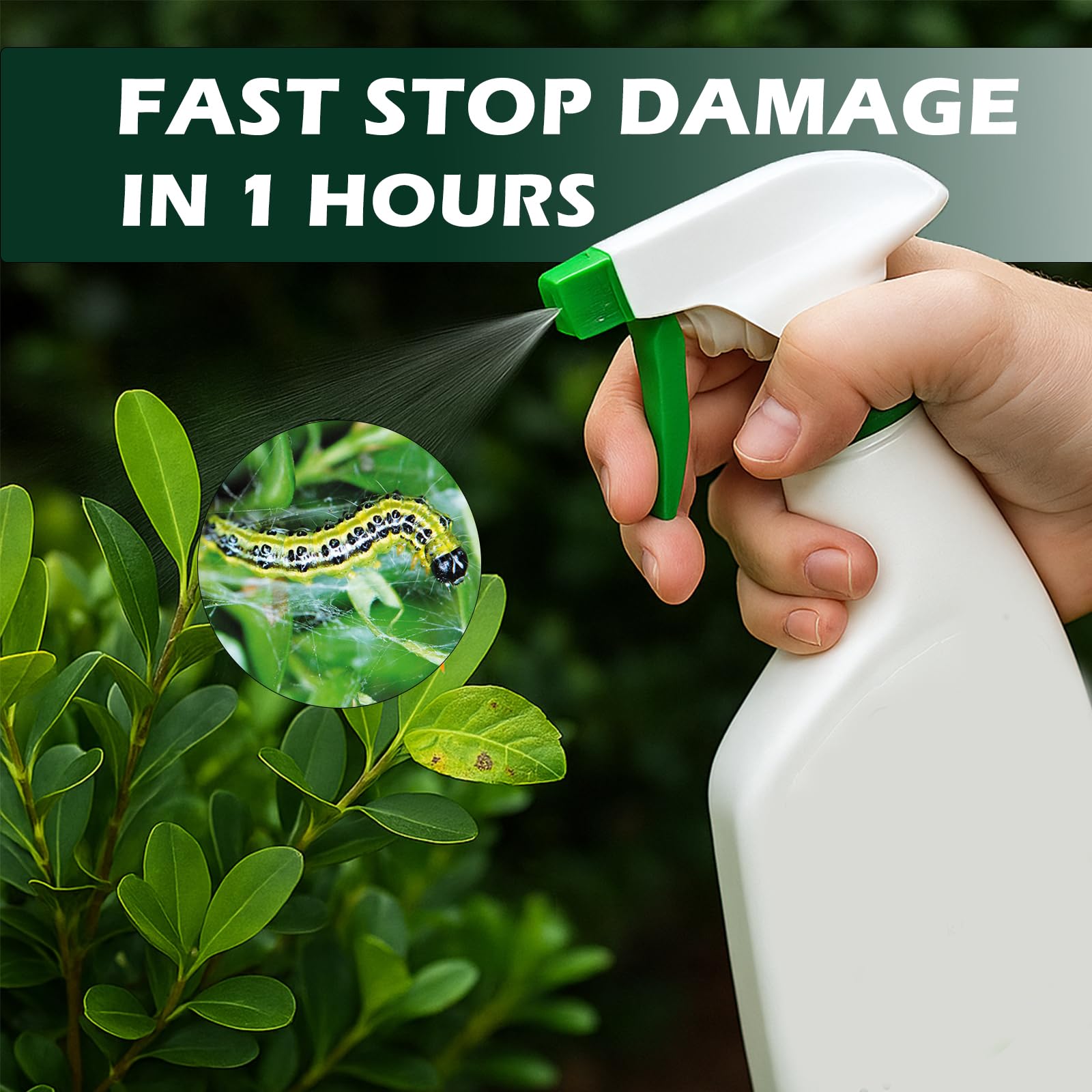 Box Tree Caterpillar Treatment –10 x 5g Packs, 300㎡ Total Coverage – Individually Wrapped,Safe for Bees & Birds, Supports Healthy Buxus Hedges — view 4