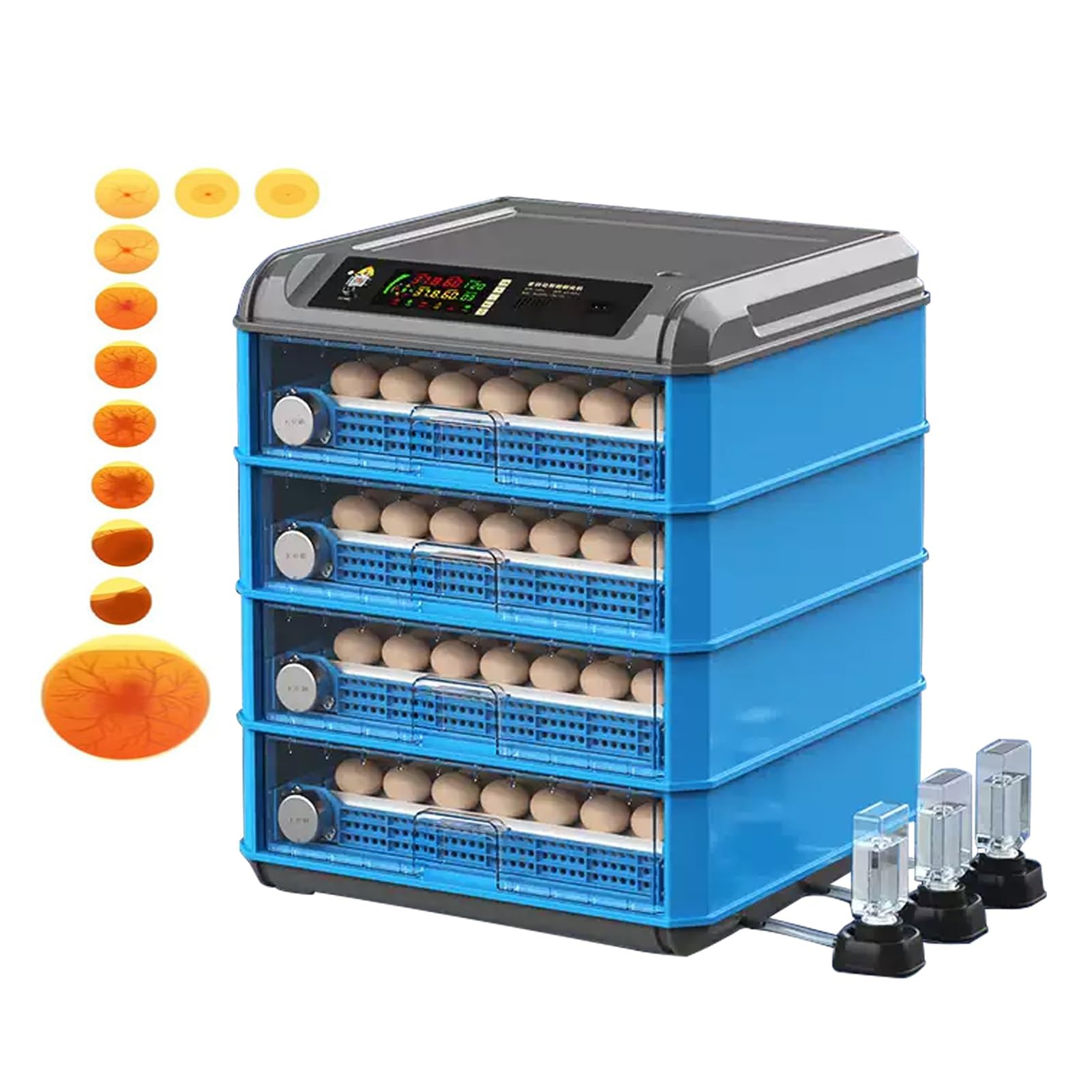Amazon.com: Automatic Egg Incubator For 16 Eggs - Digital