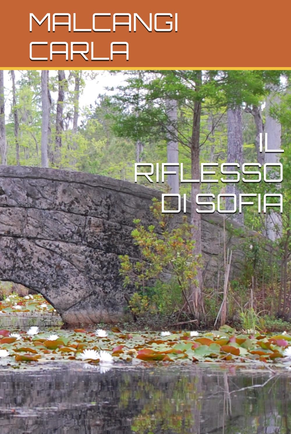 IL RIFLESSO DI SOFIA