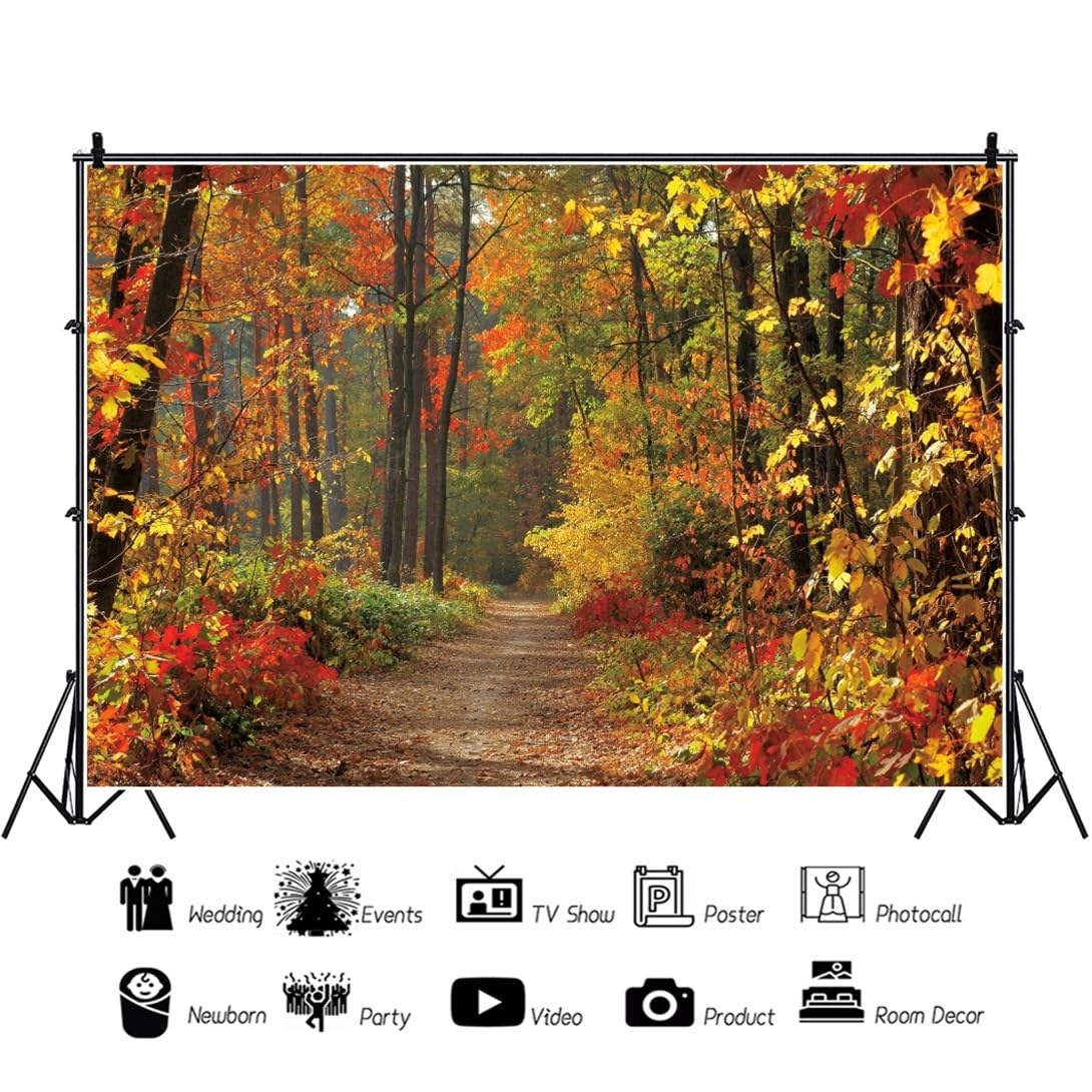 3x2,5m Sfondo paesaggio autunnale Autunno foglie di acero campagna strada sfondo Autunno foresta sfondo fotografico Decorazione per feste di compleanno Adulti Ritratto foto di scena