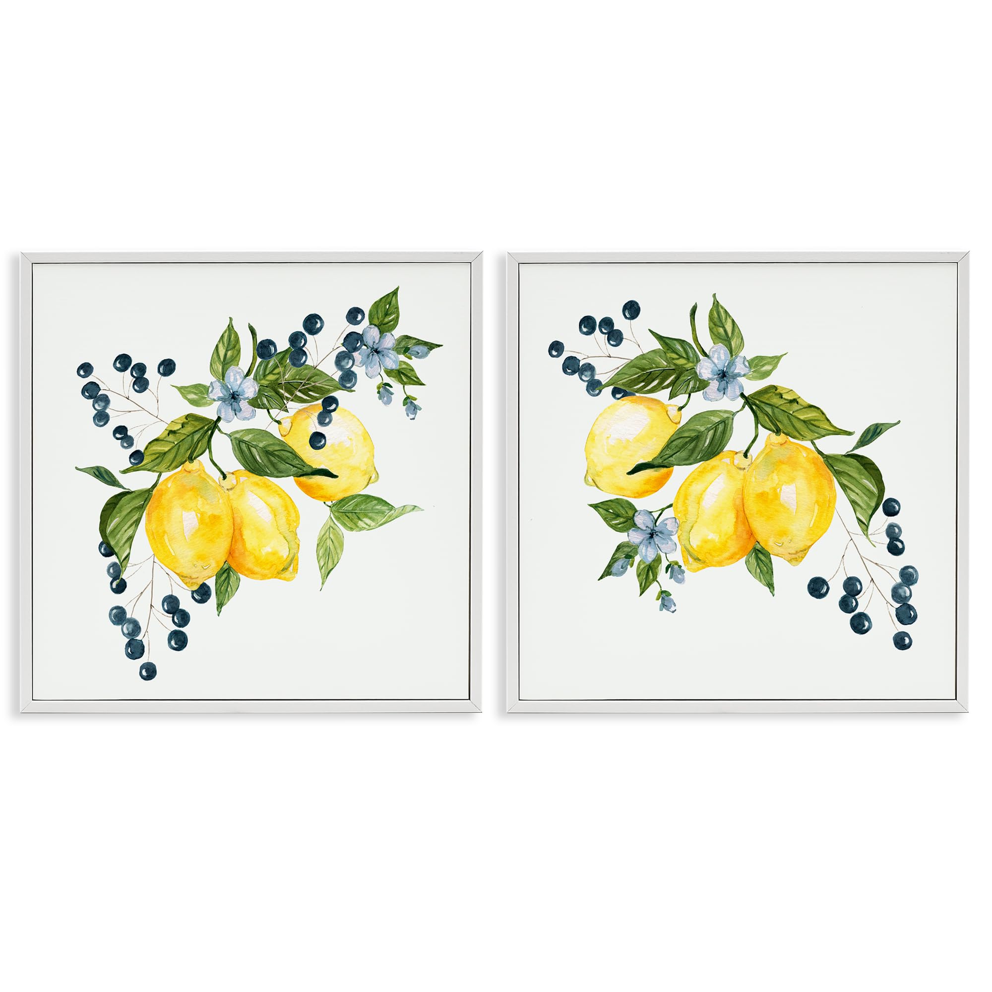 Citrus Berries Botanical Kitchen, 12 x 12 Inch Framed Giclée Print Set