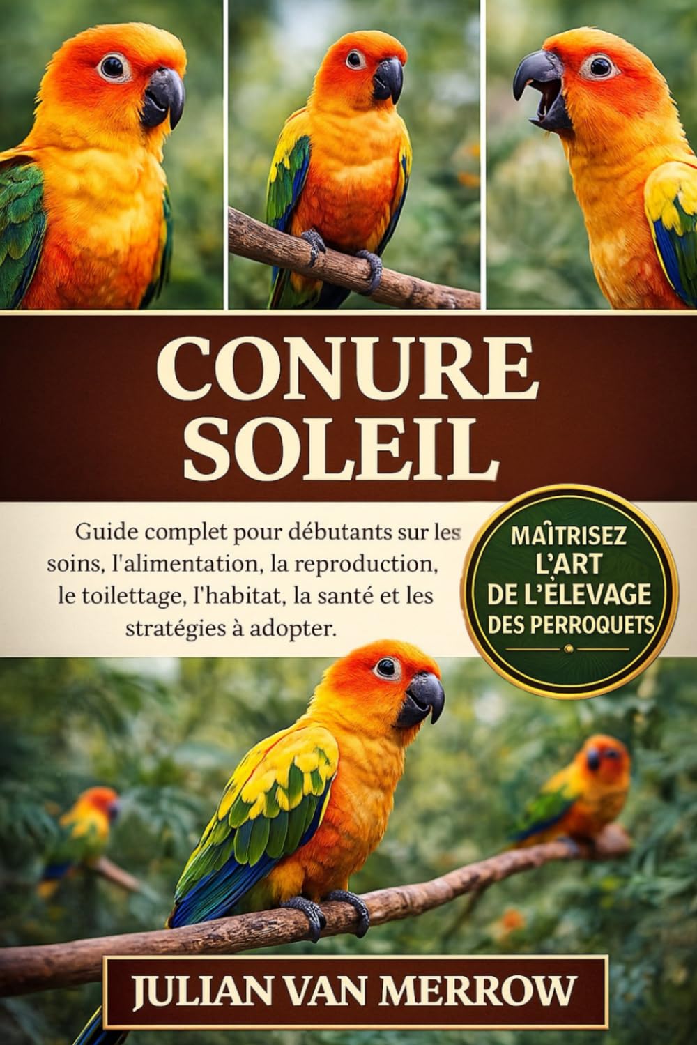 CONURE SOLEIL: Guide complet pour débutants sur les soins, l'alimentation, la reproduction, le toilettage, l'habitat, la santé et les stratégies à adopter.