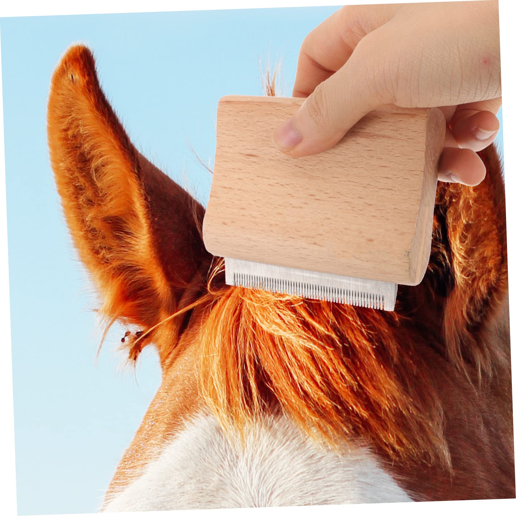 minkissy Cepillo de madera para caballos de 4 piezas, suministros agrícolas, cepillo removedor de pelo, cepillo de metal para caballo, herramienta de aseo para caballos, herramienta de eliminación de