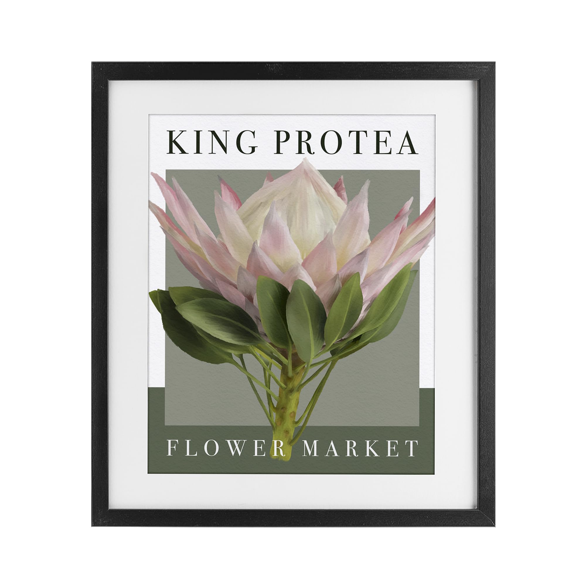 'King Protea Flower Market'| Framed Print Under Glass