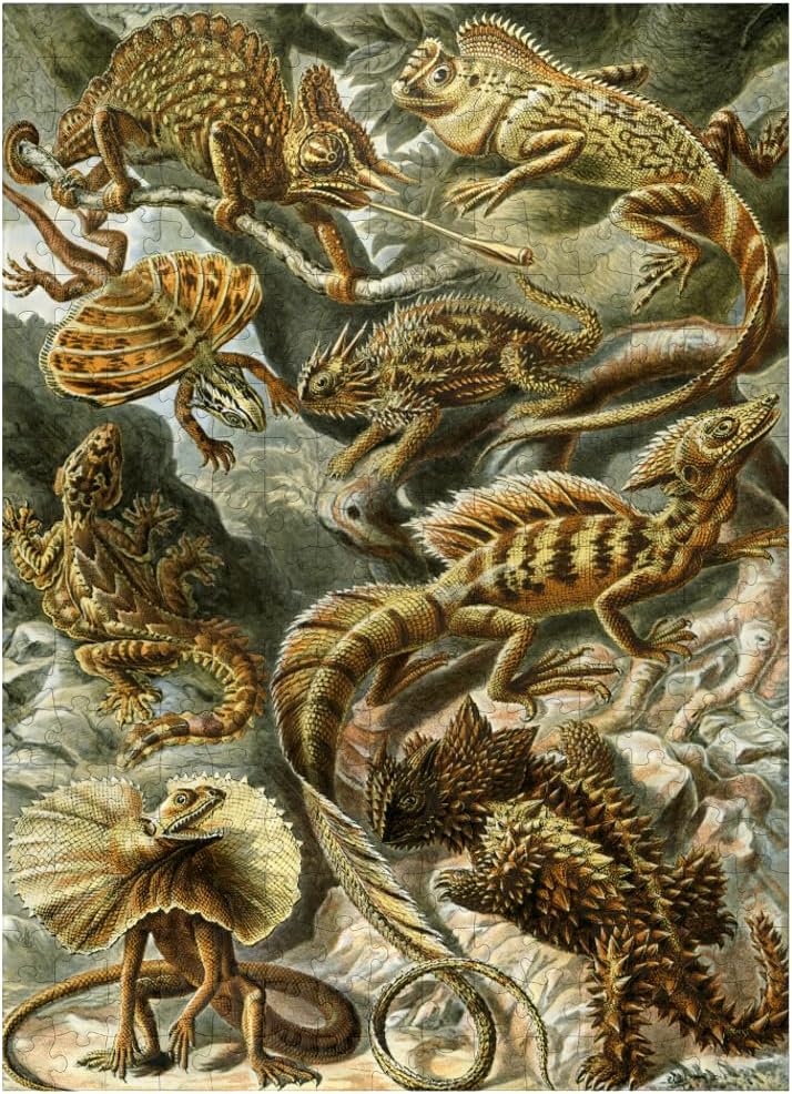 MyPuzzle Lizard (Lacertilia) - Art Forms in Nature, Vintage Art Poster, Ernst Haeckel - Premium 500 Piece Jigsaw Puzzle for Adults