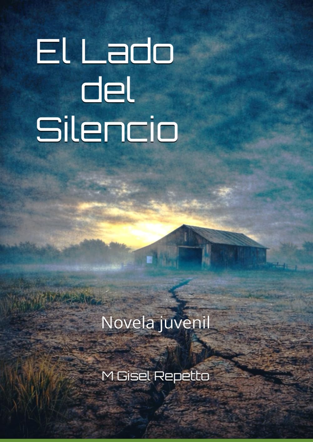 El Lado del Silencio: Novela juvenil