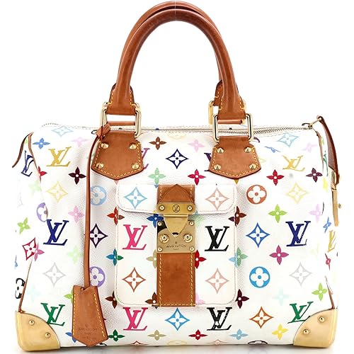 Louis Vuitton, Pre-Loved Speedy Handbag Monogram Multicolor 30, Multicolor