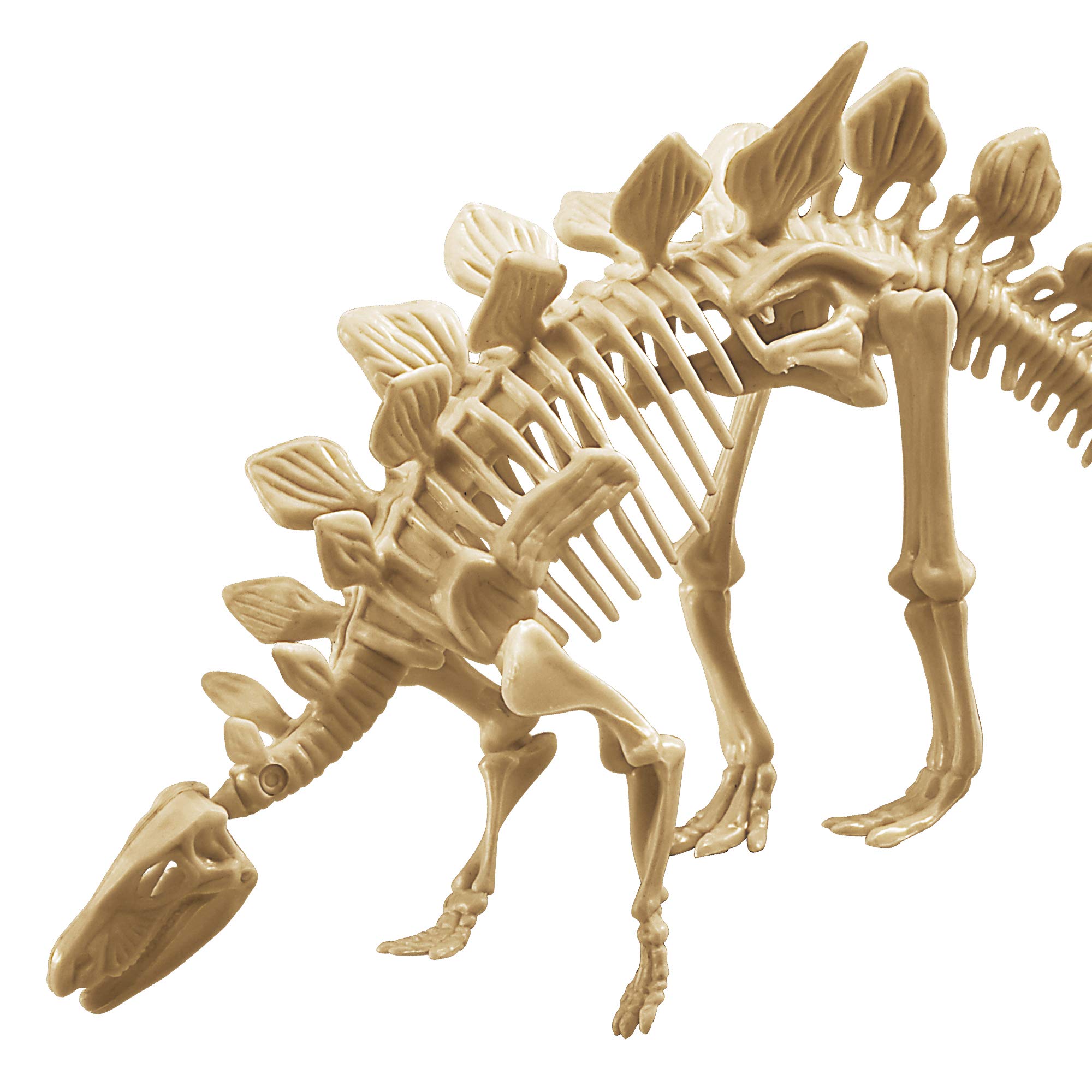 Science4you Kit De Excavación De Fósiles 4 En 1 – Paleontología Para Niños 6+, Excava 46 Piezas Y Reconstruye 4 Dinosaurios