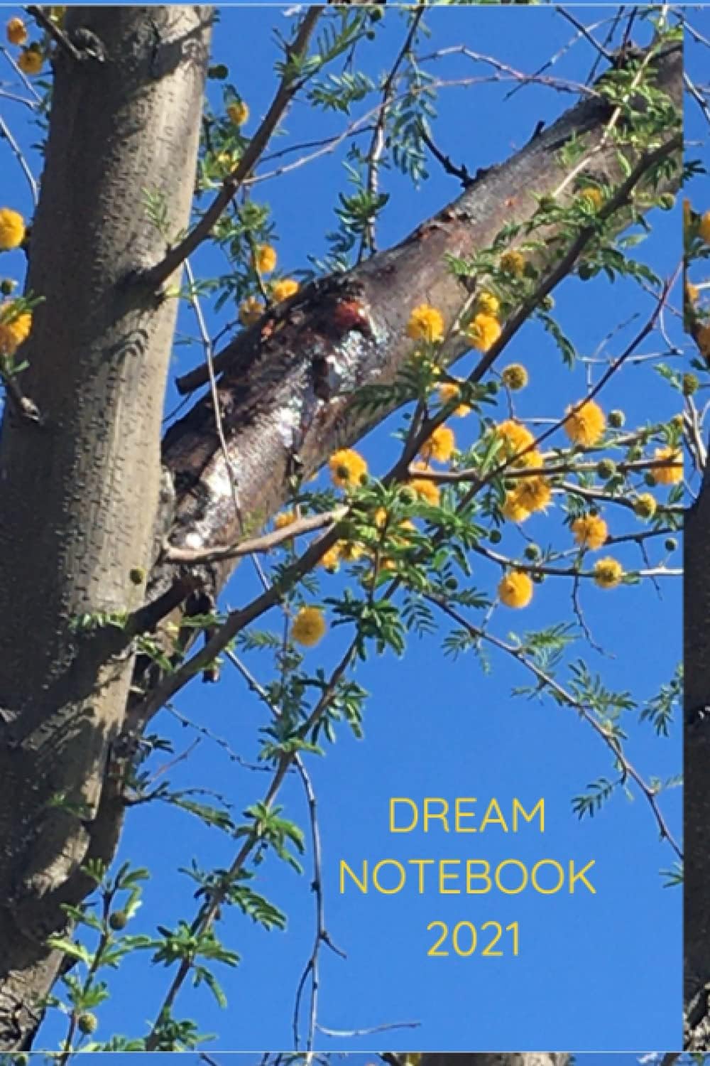 Dream NoteBook 2021: Yes, You Can Create!