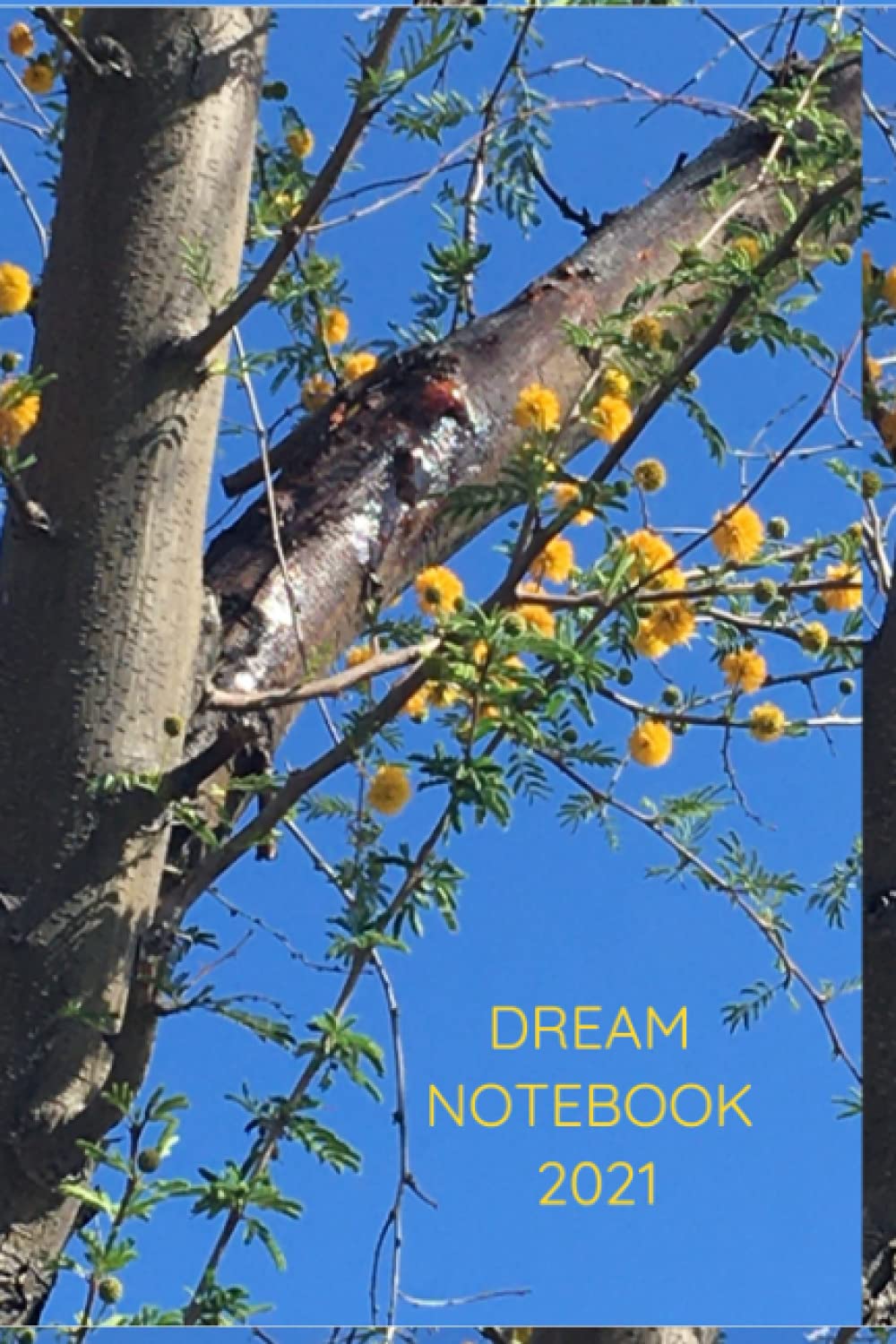 Dream NoteBook 2021: Yes, You Can Create!