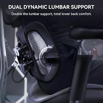 SIHOO Doro S300 Ergonomic Office Chair, Full-Body Coordinated Support