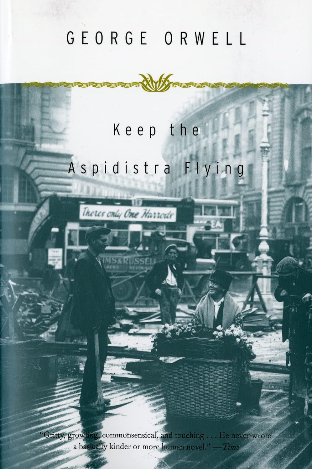Keep the Aspidistra Flying book cover