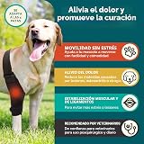 Ver la foto 3
