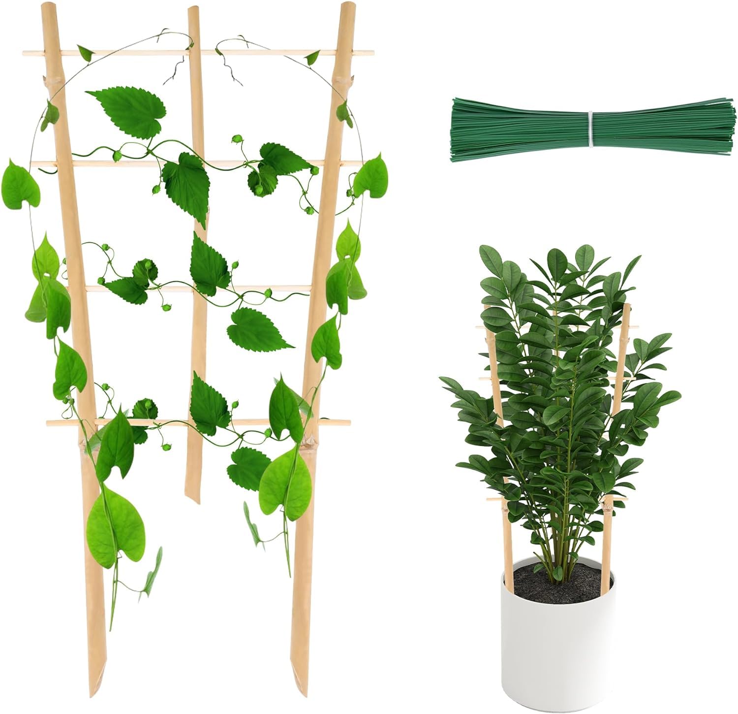 16inch 3 Pack Bamboo Trellis for Climbing Plants, Natural Small Lattice Plant Support for Potted Houseplants, Indoor Outdoor Garden-image-34