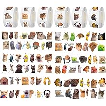 500 Cat Emoji Sticker Roll, Waterproof Vinyl Cute Designs, Fun Feline Set for Laptops, Scrapbooks, Journals, Suitcases, Phone Cases, Water Bottles 6 Rolls Total, 500 Stickers Per Roll