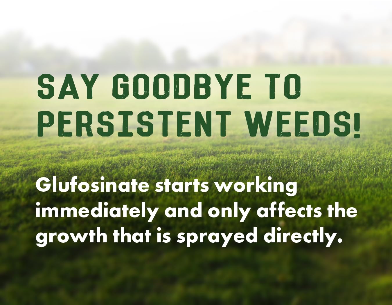 Liquid Harvest 24.5% Glufosinate Herbicide – 32 oz Concentrate (Makes 16 Gallons) – Non-Selective Weed Killer for Grass, Broadleaf Weeds & Woody Plants – Glyphosate-Free Weed Control