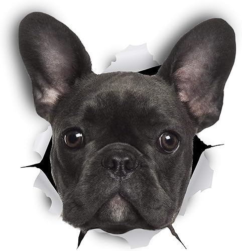 Miniatura 1 de Winston  Bear French Bulldog 3D - 2 pegatinas para perros  Decoración de Bulldog francés  Regalos para pared nevera inodoro y más  Pegatinas de