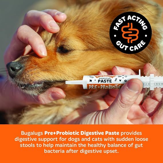BUGALUGS Dog Probiotic Digestive Paste for Dog & Cat - Gut Health, Digestive Supplements with Fast-Acting Ingredients for Dogs & Cats (30ml)