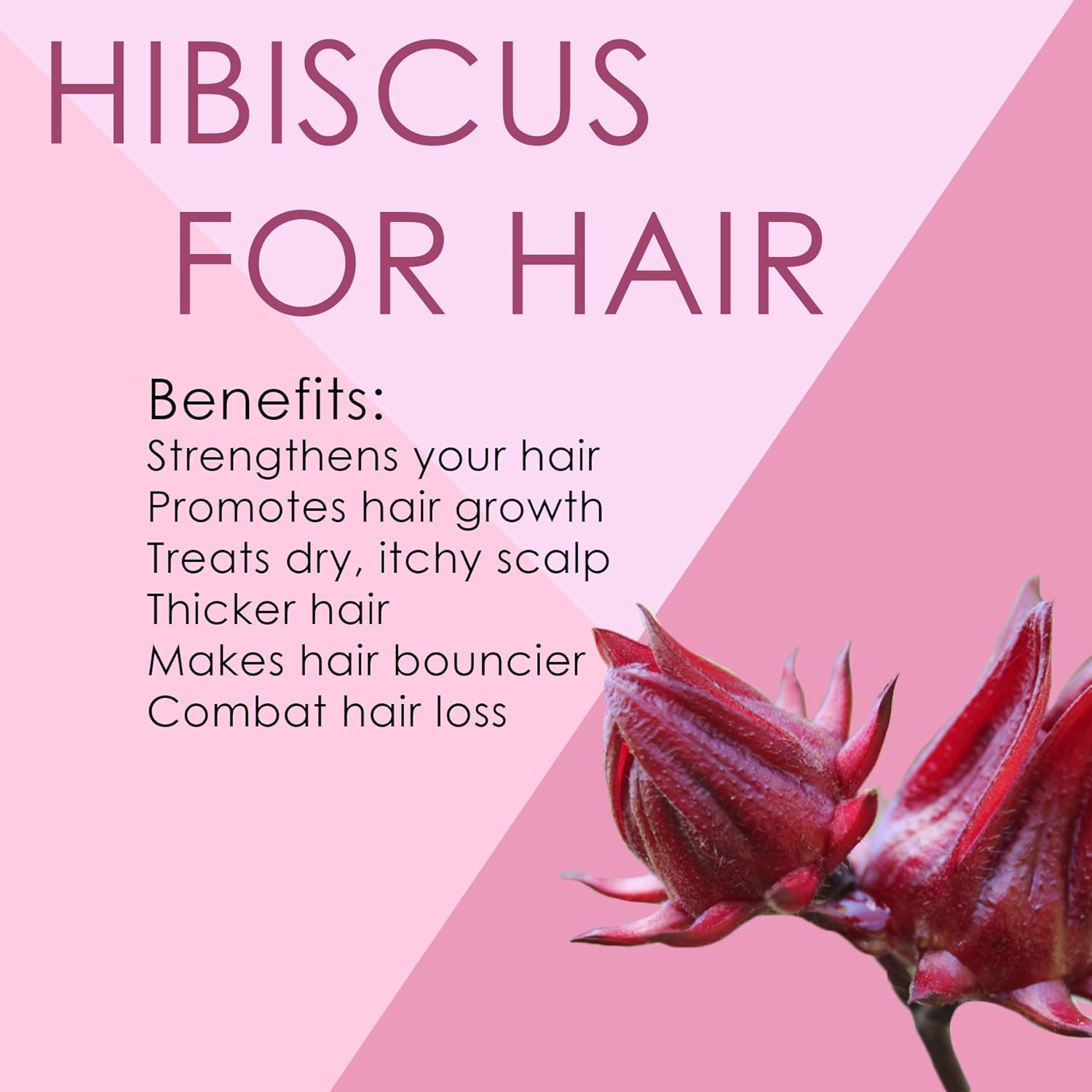 Buy Anti Hair Loss Growth Treatment For Women Men W Ginger Royal Jelly By Sorrel Cosmetics Thin Thinning Scalp Dropper Gotero Anti Caida Drops Caida Del Cabello Regrowth Serum Botanical Hibiscus 4