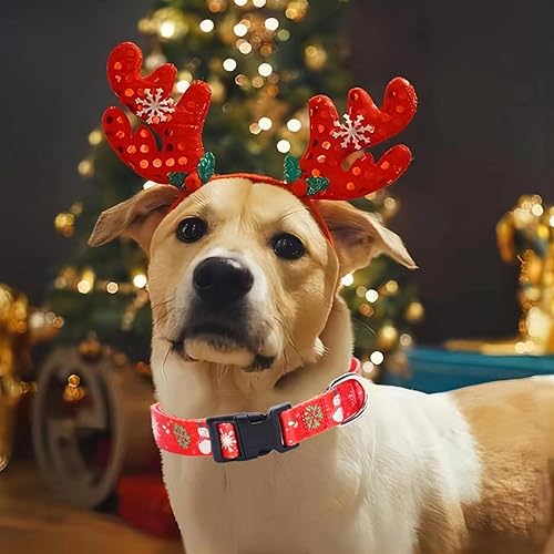 Vista 26 de Collar reflectante con hebilla para perro, ajustable, collares de seguridad de nailon para perros pequeños, medianos y grandes, color naranja