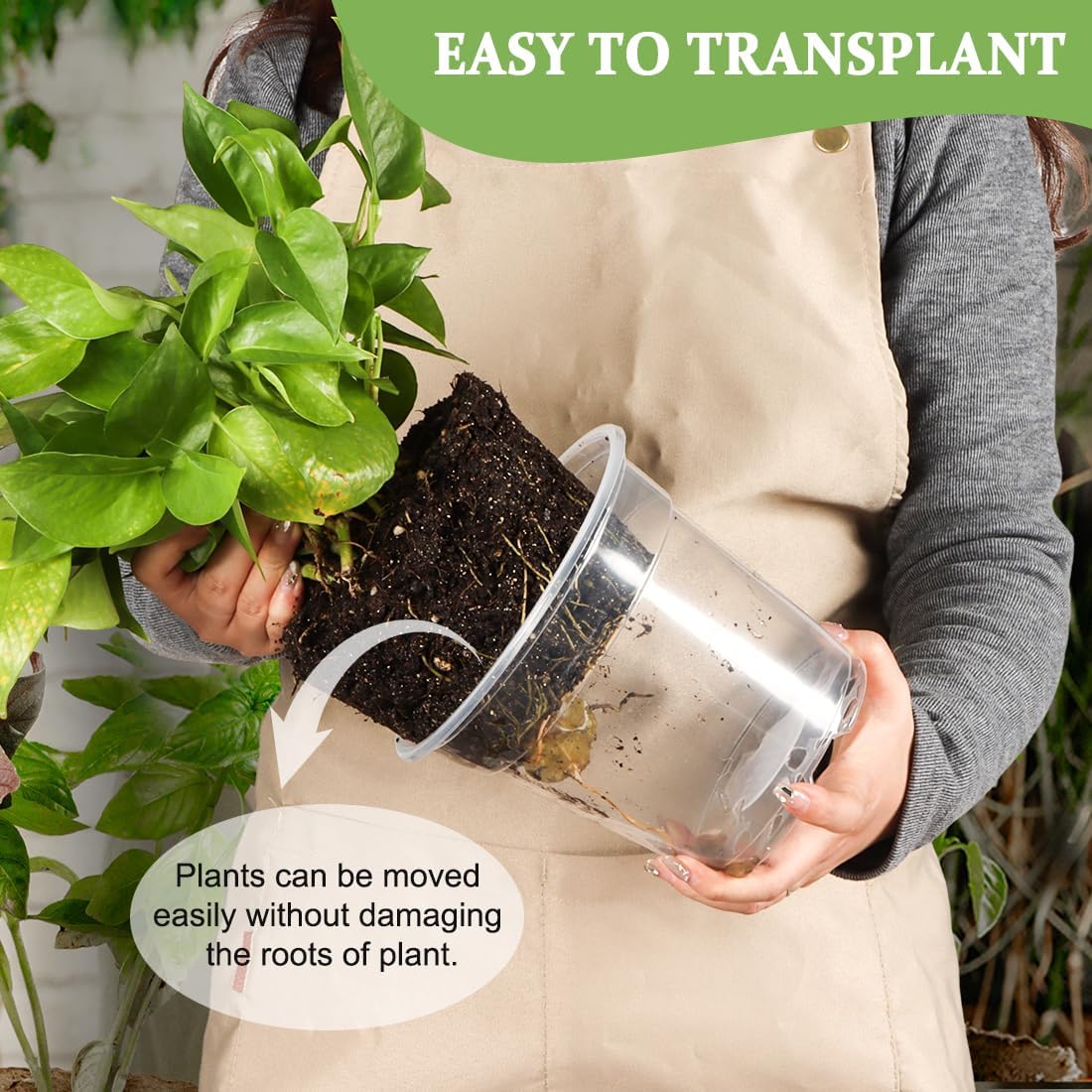 60 Pack 6 Inch Clear Nursery Pots for Plants, Flexible Plastic Plant Pots with Drainage Holes, Transparent Plant Starter Pots for Seedlings, Vegetable, Succulents, Flowers