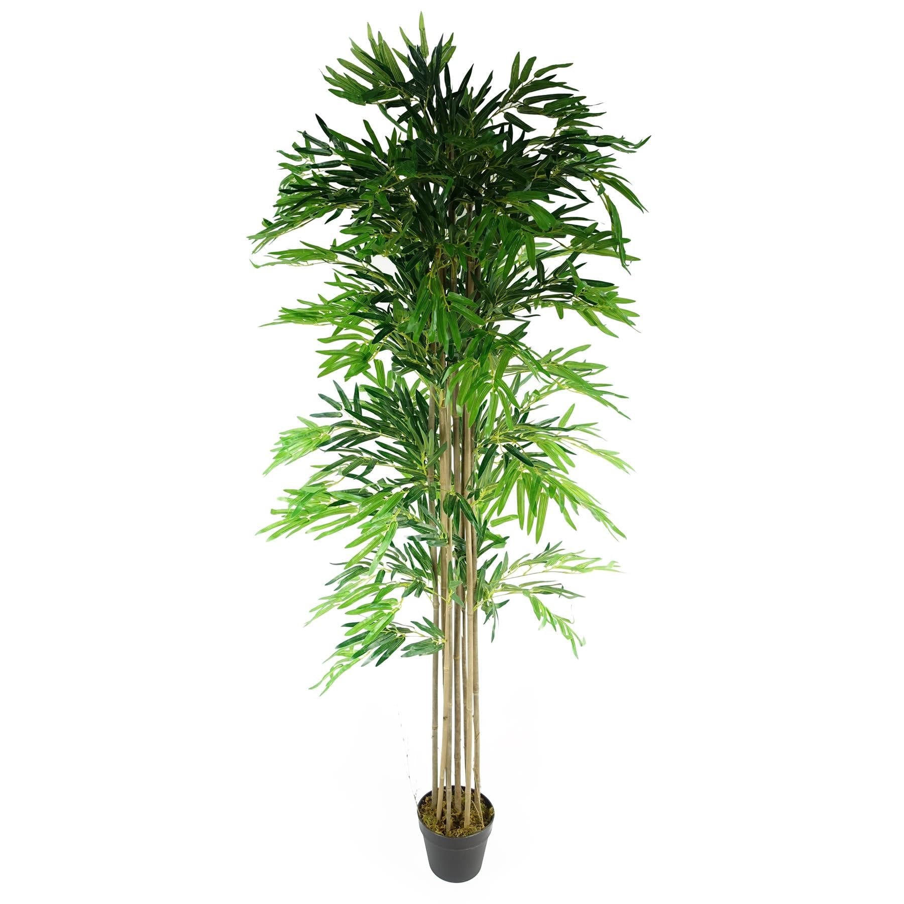 B&Q -  180Cm (6Ft) Artificial Bamboo Plants Trees Green