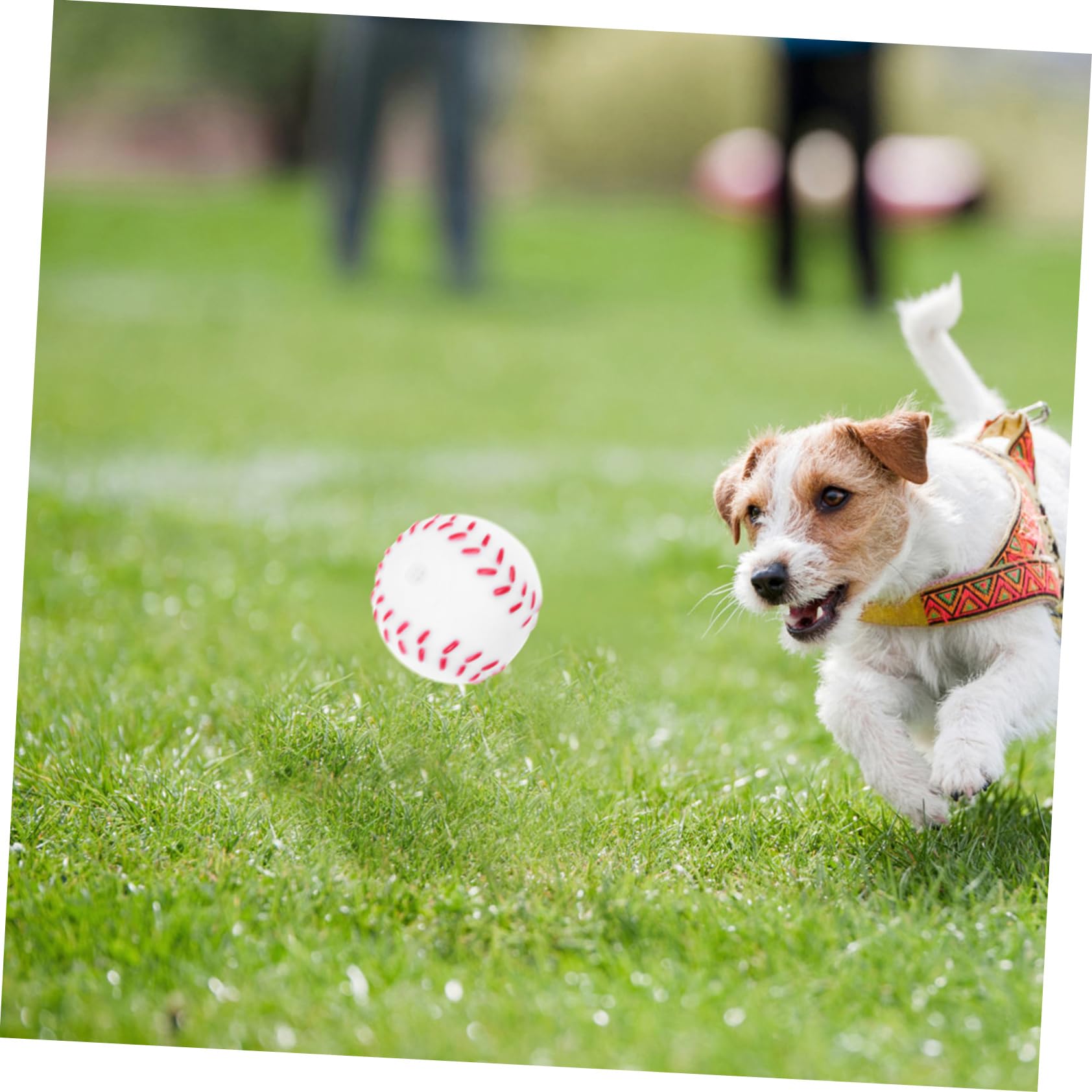 Kisangel 20pièces Jouets à Mâcher Forme De Balle De Tennis pour Chiens Balles Couinantes pour Chiots Jouets Interactifs pour Petits Chiens pour Soulager Les Dents Et Favoriser La