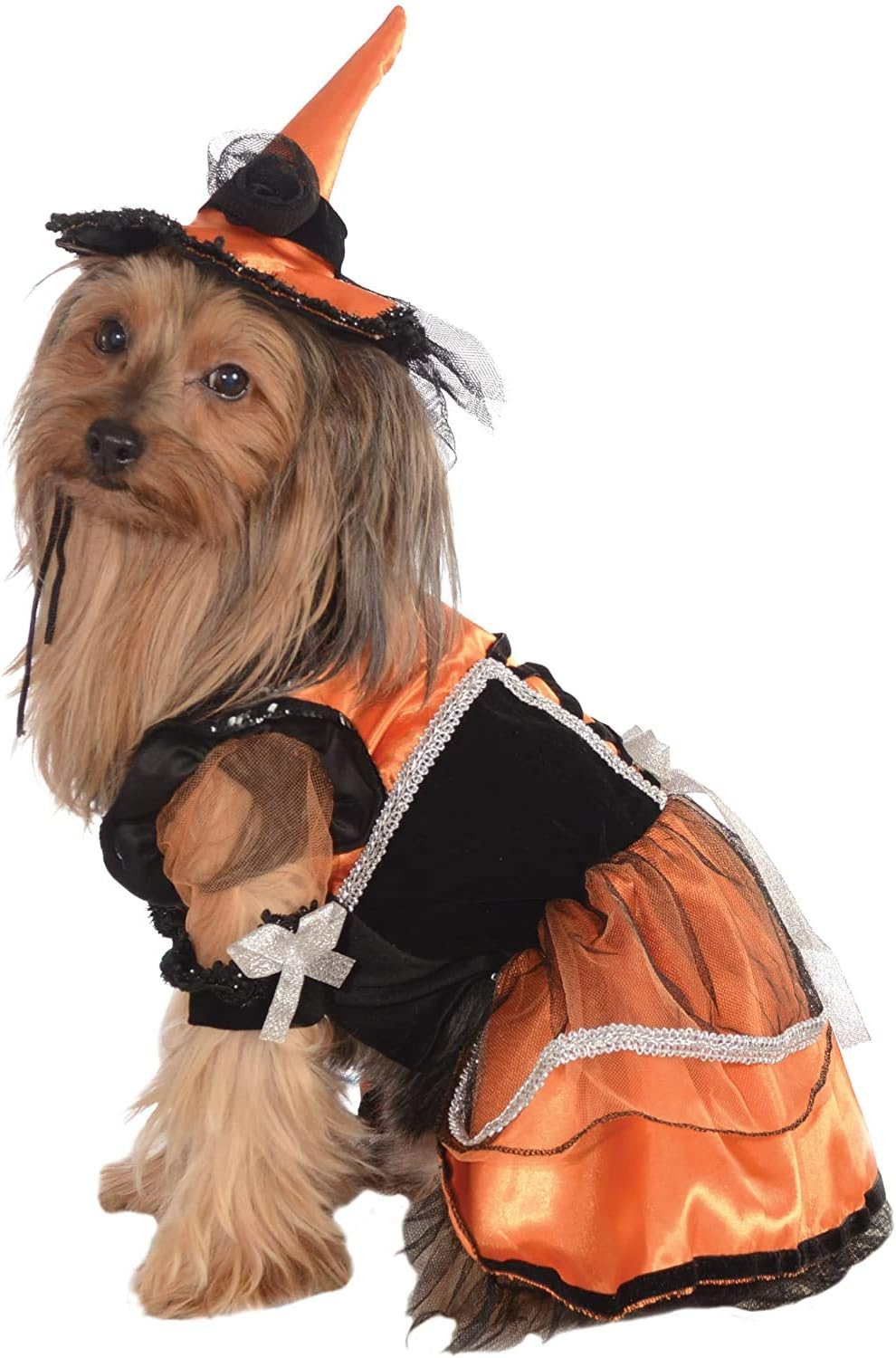 Rubie's Halloween Classics Witch Pet Costume Dress and Hat, Small, Orange